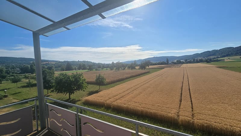 Charmante 5.5-Zimmer-Maisonette-Wohnung mit Seesicht in Eschenz (8)