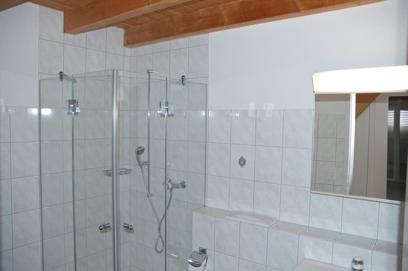 Charmante 5.5-Zimmer-Maisonette-Wohnung mit Seesicht in Eschenz (9)
