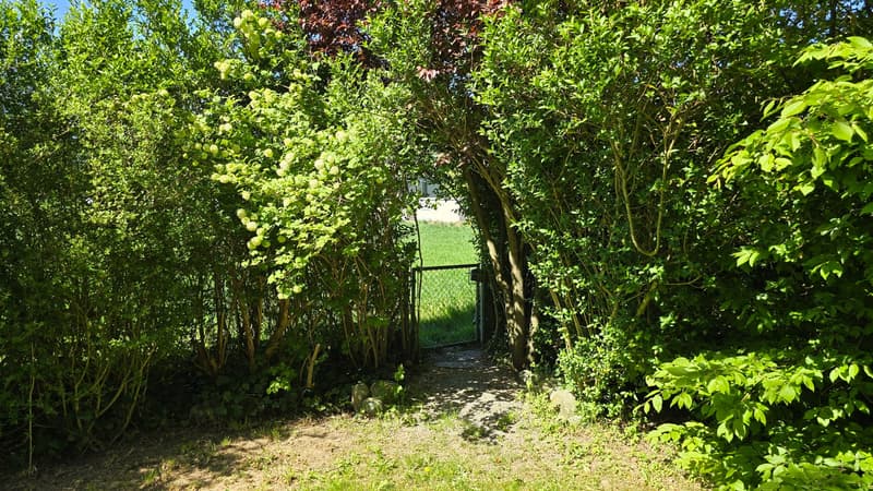 Garten4