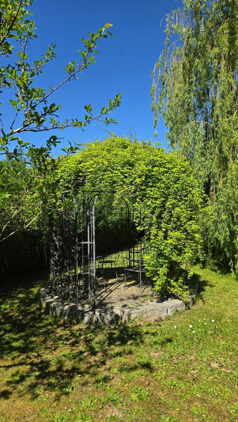Garten1