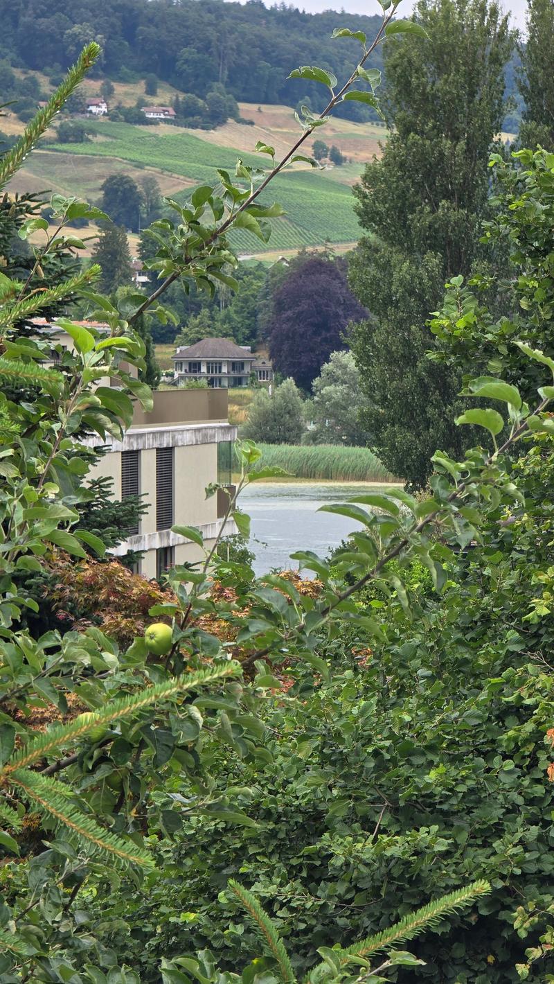 Sicht Insel Werd
