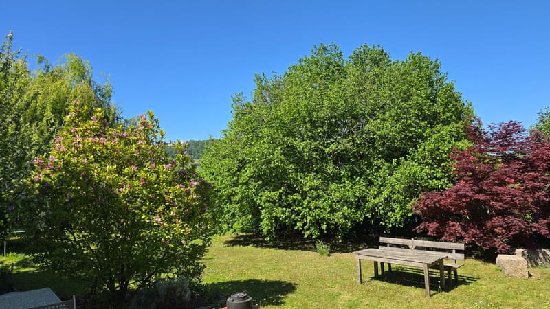 Garten8