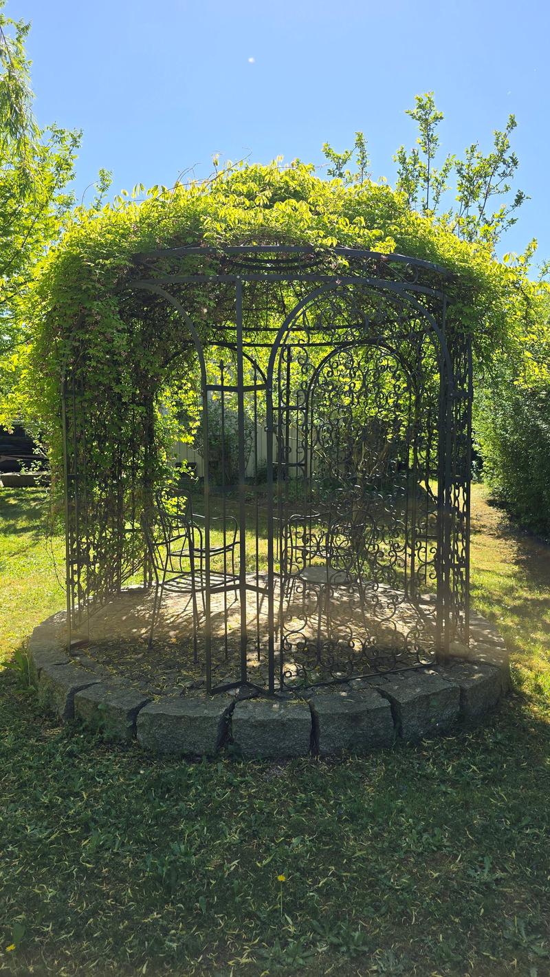 Garten2