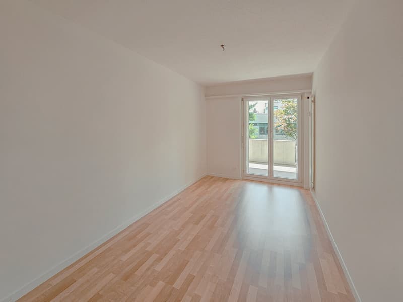 Quiet 4.5-room apartment in the center (13)