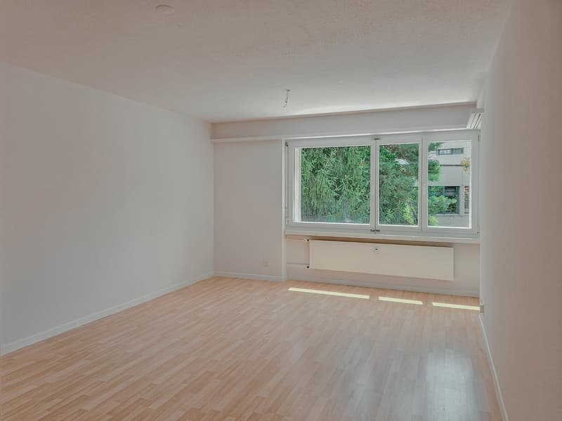 Quiet 4.5-room apartment in the center (11)