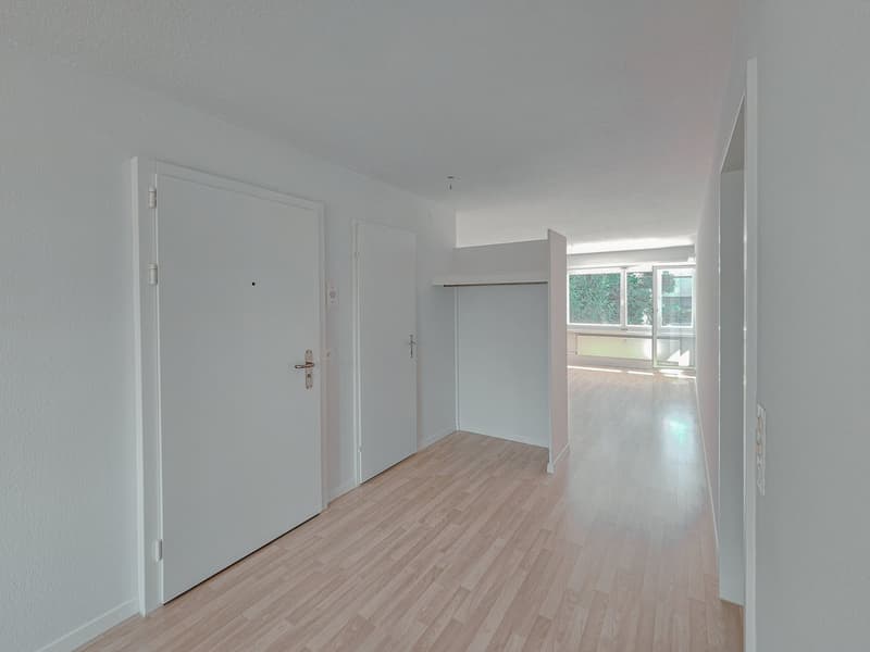 Quiet 4.5-room apartment in the center (3)