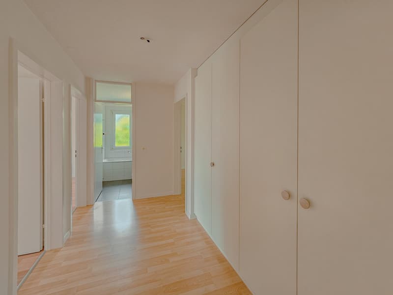 Quiet 4.5-room apartment in the center (7)