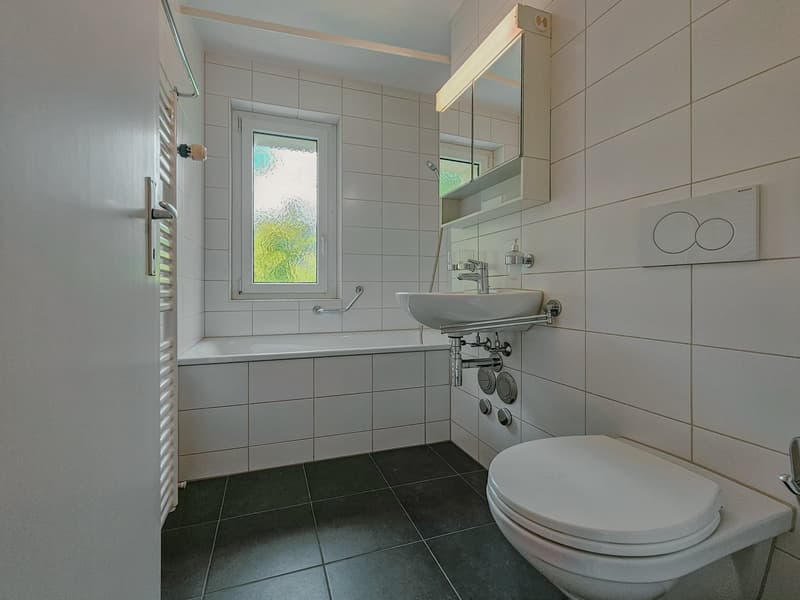 Quiet 4.5-room apartment in the center (9)