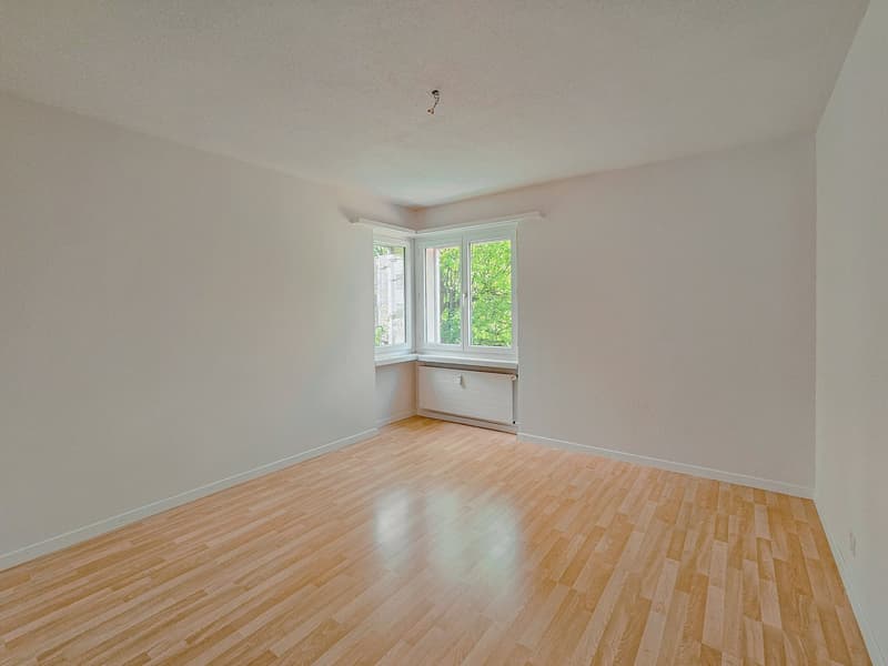 Quiet 4.5-room apartment in the center (17)