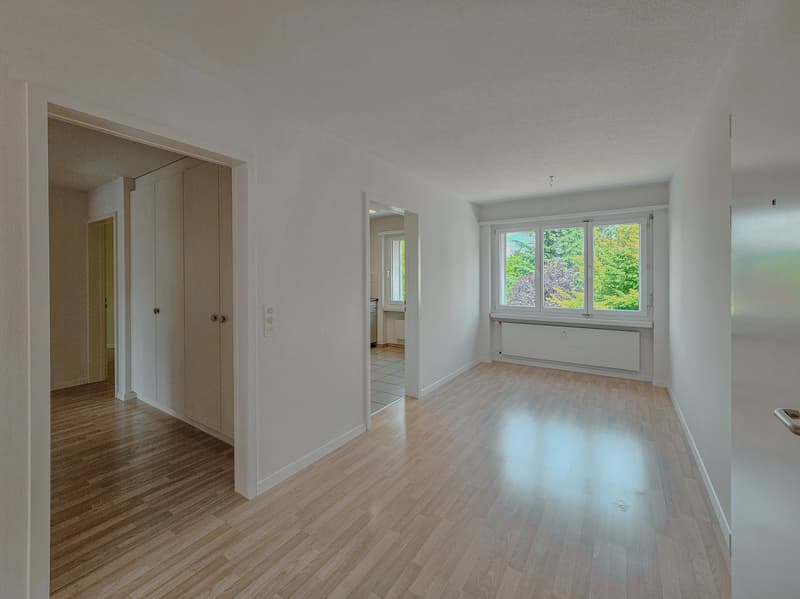 Quiet 4.5-room apartment in the center (4)
