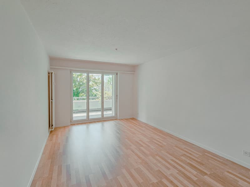 Quiet 4.5-room apartment in the center (15)