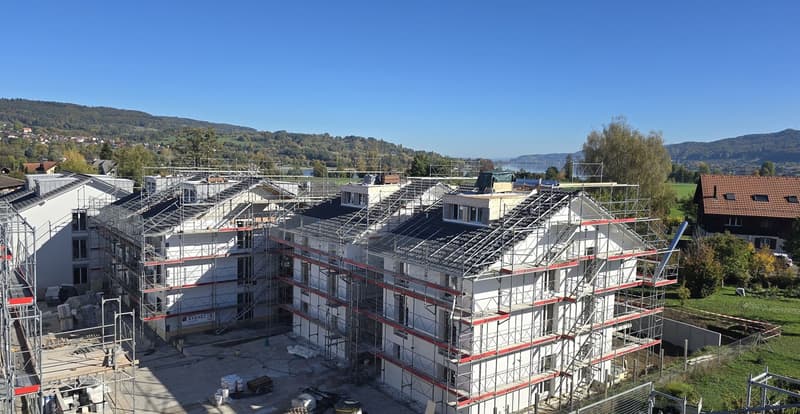 Modernes Einfamilienhaus als Neubau in Eschenz – Wohnen mit Weitblick und Naturidylle (10)