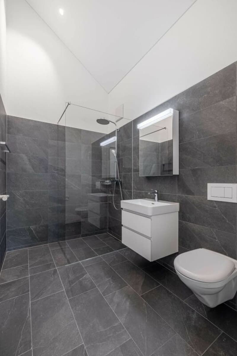 Premier contrat de location 3.5 pièces appartement en attique neuf (6)