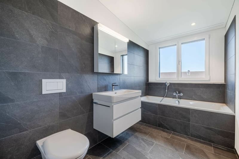 Premier contrat de location 3.5 pièces appartement en attique neuf (7)