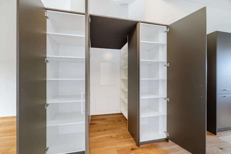 Premier contrat de location 3.5 pièces appartement en attique neuf (3)