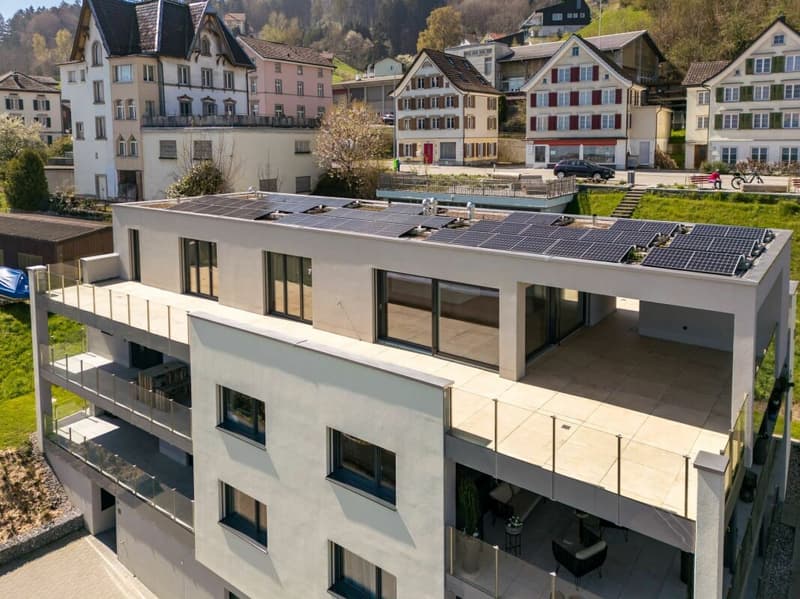 PANORAMA ATTIC WITH LAKE CONSTANCE VIEW & PRIVATE POOL, LIVING AT THE HIGHEST LEVEL (10)