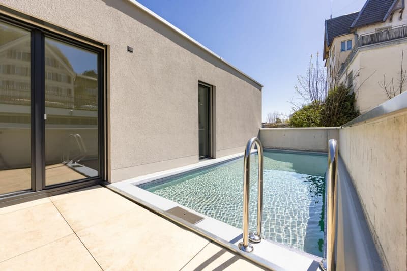 PANORAMA ATTIC WITH LAKE CONSTANCE VIEW & PRIVATE POOL, LIVING AT THE HIGHEST LEVEL (1)