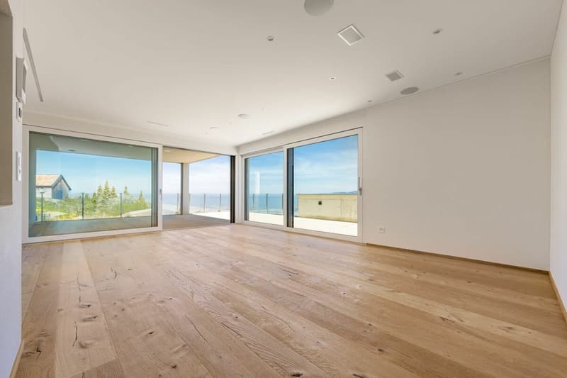 PANORAMA ATTIC WITH LAKE CONSTANCE VIEW & PRIVATE POOL, LIVING AT THE HIGHEST LEVEL (6)