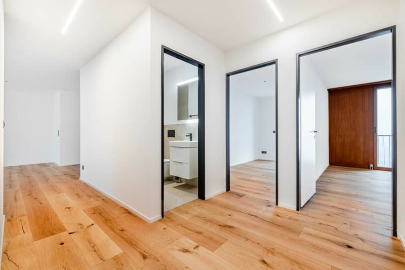 Spacious, modern, scenic - 5.5 room apartment in St. Gallen (4)