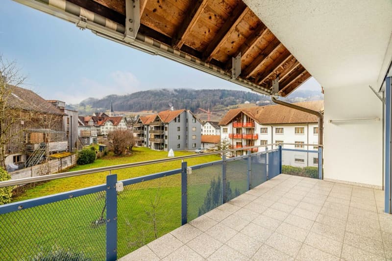 Habitation calme et bien entretenue - charmant appartement 3.5 pièces à Berneck SG (10)