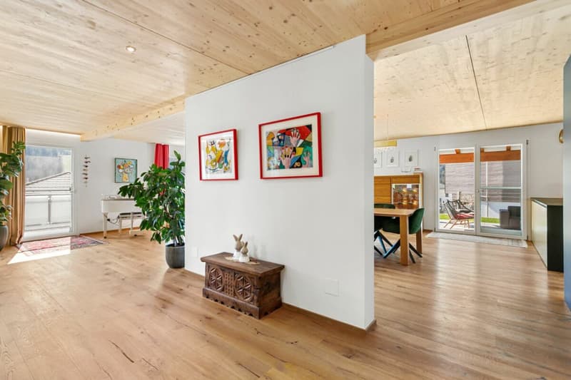 INDEPENDENT, MODERN, UNIQUE ? EXCLUSIVE FAMILY IDYLL only 15 minutes from Herisau (3)