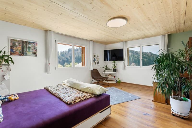 INDEPENDENT, MODERN, UNIQUE ? EXCLUSIVE FAMILY IDYLL only 15 minutes from Herisau (9)