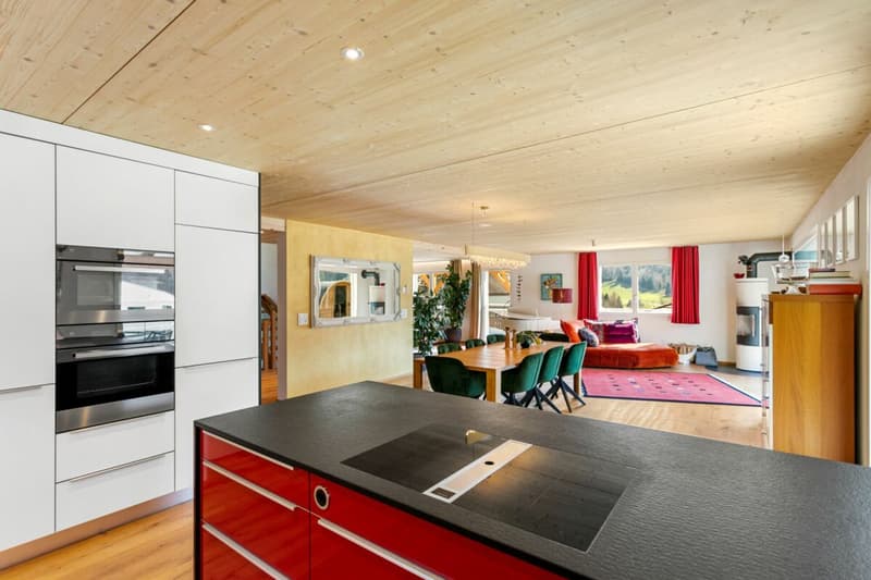 INDEPENDENT, MODERN, UNIQUE ? EXCLUSIVE FAMILY IDYLL only 15 minutes from Herisau (5)