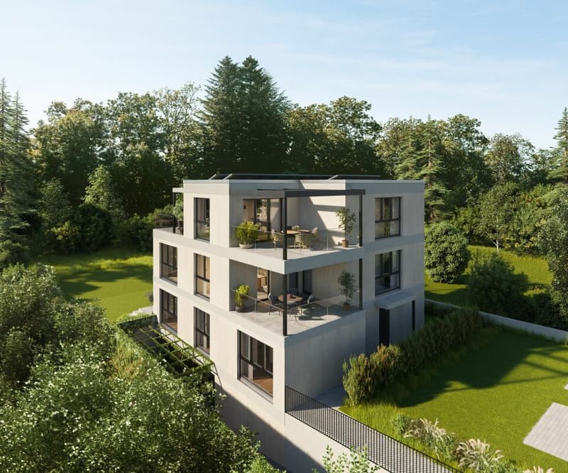 5.5-room maisonette attic apartment (with lift directly into the apartment) (5)