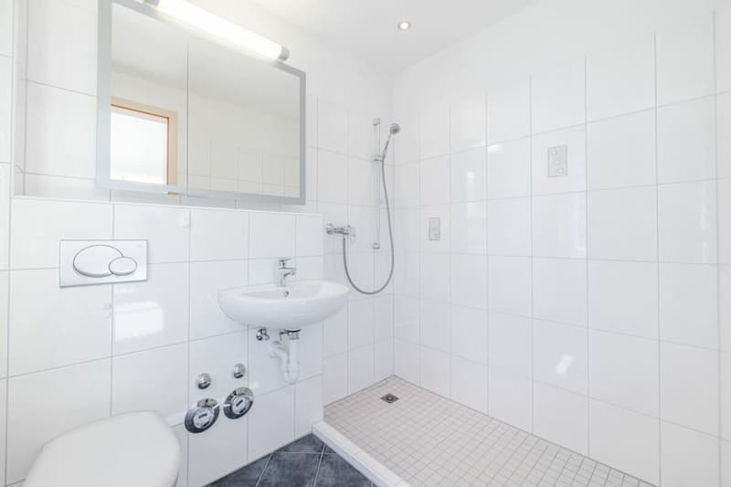 Moderno studio di 1.5 camere vicino al Lago di Costanza a Landschlacht (4)