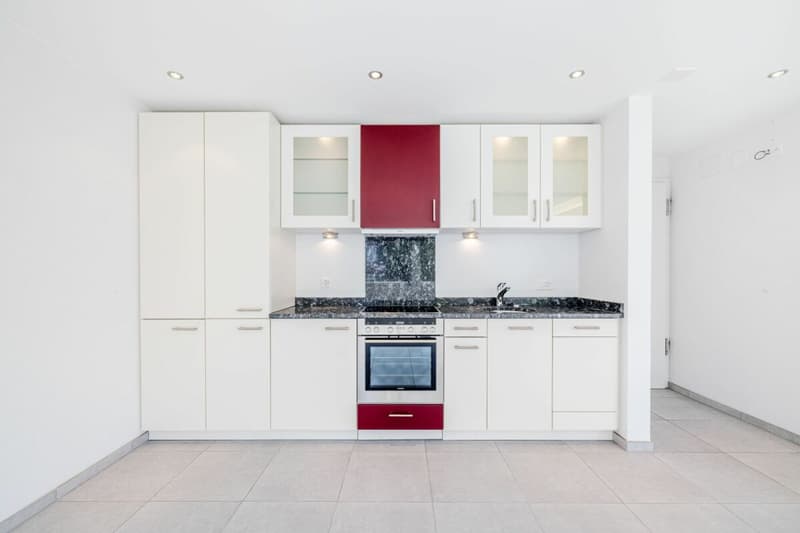 Moderno studio di 1.5 camere vicino al Lago di Costanza a Landschlacht (2)