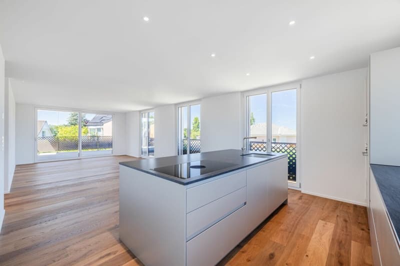 Wohnen mit Komfort: 4.5-Zimmer Neubauwohnung mit sonnigem Balkon (2)