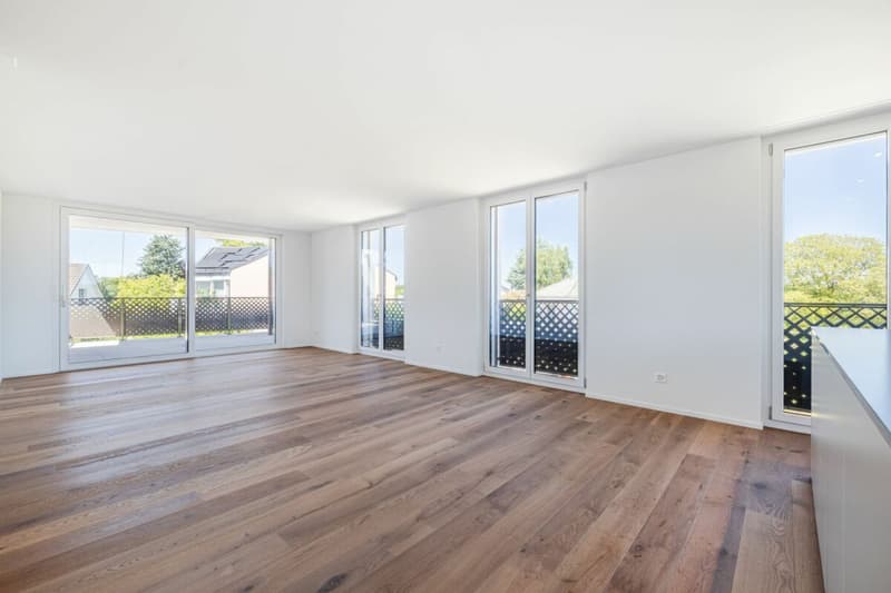 Wohnen mit Komfort: 4.5-Zimmer Neubauwohnung mit sonnigem Balkon (4)