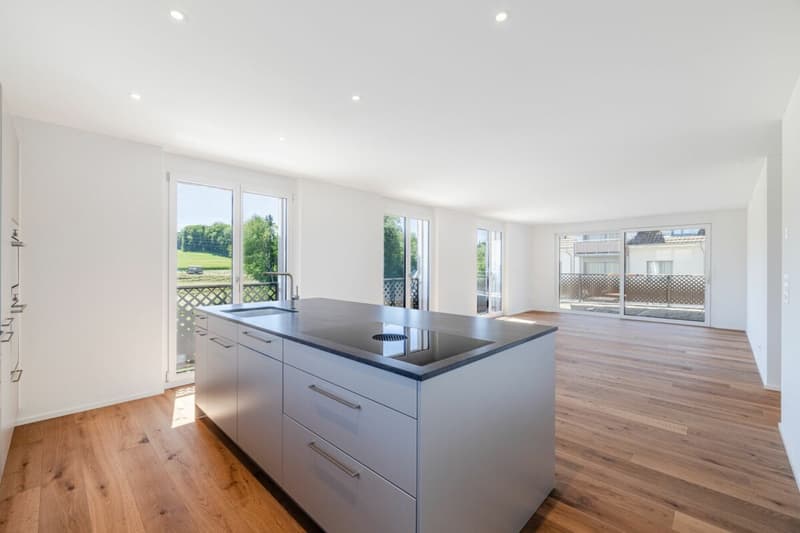 Appartement neuf avec 3,5 pièces et finition de haute qualité (4)