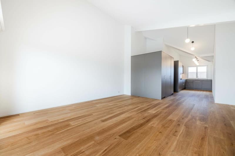 ruhig gelegene 3.5-Zi. Neubau-Dachwohnung mit Blick ins Grüne (6)