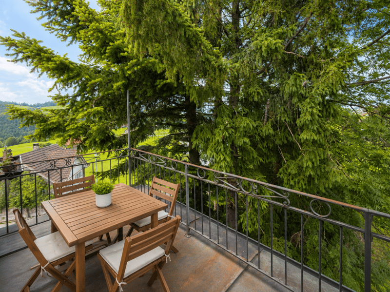 Appartement mansardé de 3,5 pièces modernisé avec balcon et vue panoramique (7)
