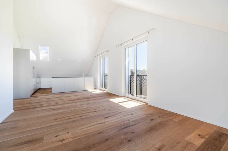 Dachterrasse, Weitsicht und Wohnkomfort: Ihre neue 2.5-Zimmer Traumwohnung mit Blick ins Grüne (4)
