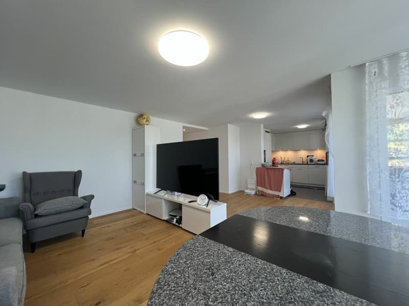 Appartement moderne avec vue sur le lac au-dessus des toits de Rorschacherberg (5)