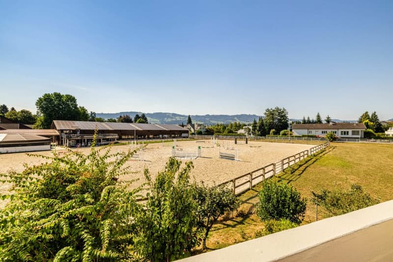 Holiday flair meets living comfort - First occupancy in high-quality 2.5-room apartment (8)