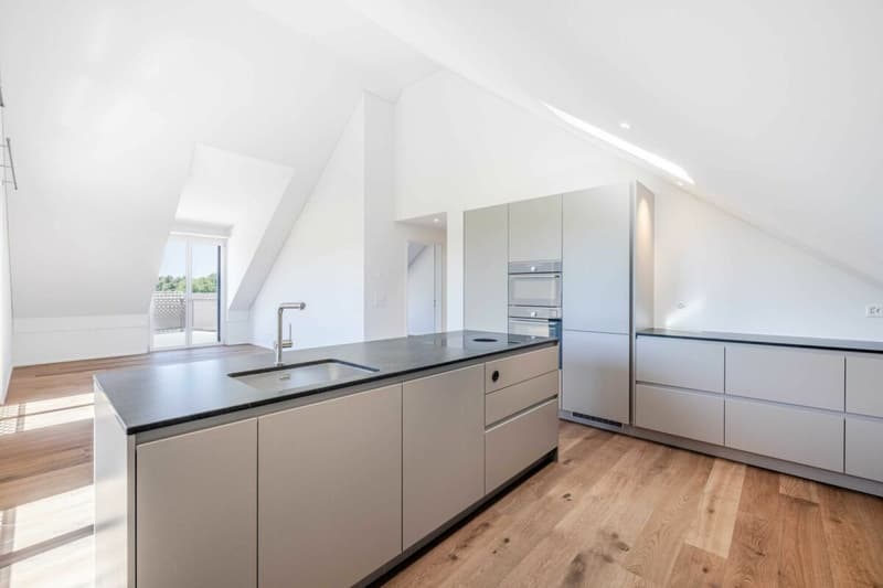 Wohnen mit Weitsicht - attraktive 2.5-Zimmer Neubau Wohnung mit Dachterrasse (1)