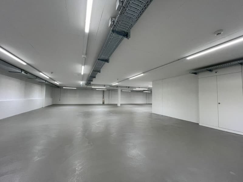 Moderne Lagerhalle an Verkehrsknotenpunkt (5)