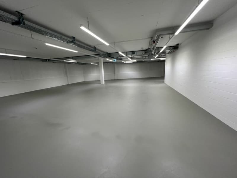 Moderne Lagerhalle an Verkehrsknotenpunkt (4)