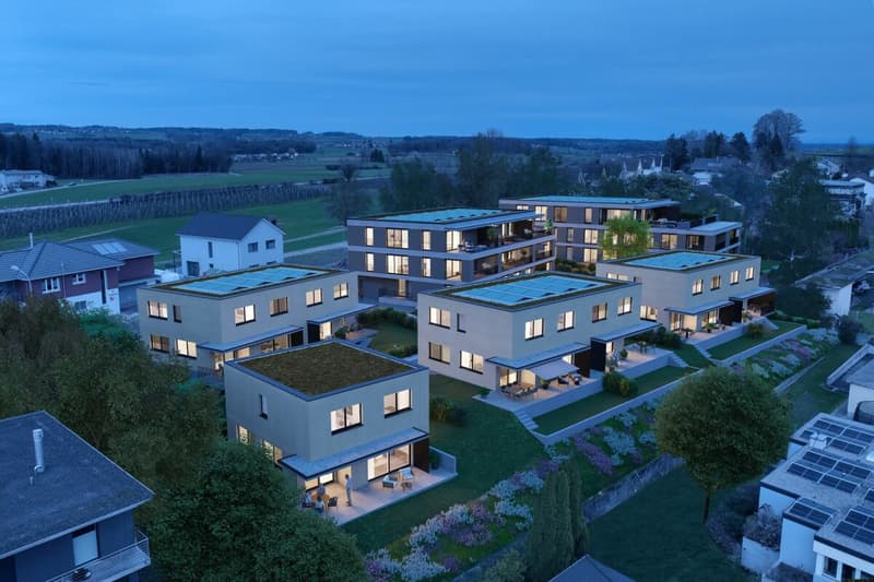 Familienwohnen mit Aussicht - grosszügiges 5.5-Zi. Doppel-Einfamilienhaus (8)