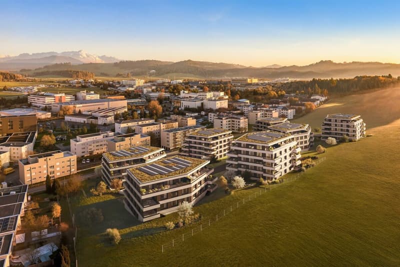 Neubau "Obstgarten" - 5.5-Zi. Familienwohnung (3)