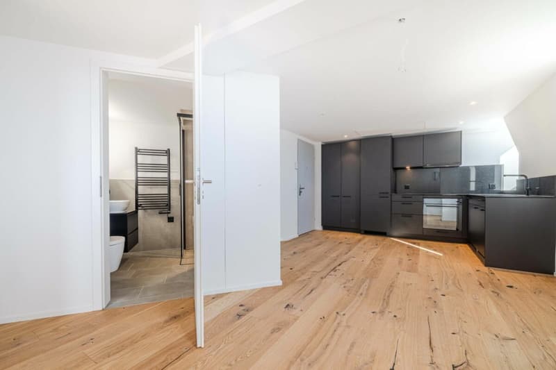 EXKLUSIV: 3.5-Zimmer Wohnung mit modernem Ausbaustandard und einzigartiger Dachterrasse (3)