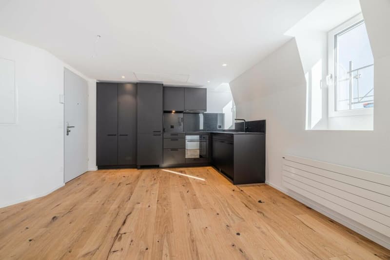 EXKLUSIV: 3.5-Zimmer Wohnung mit modernem Ausbaustandard und einzigartiger Dachterrasse (1)