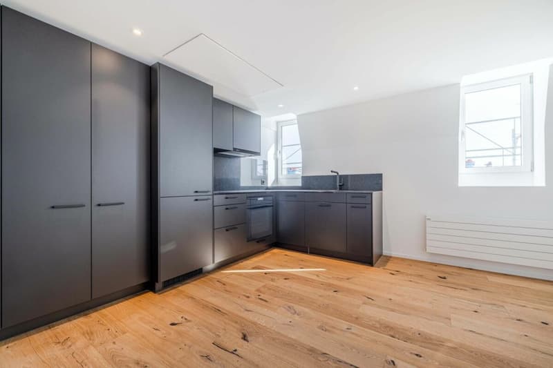 EXKLUSIV: 3.5-Zimmer Wohnung mit modernem Ausbaustandard und einzigartiger Dachterrasse (2)