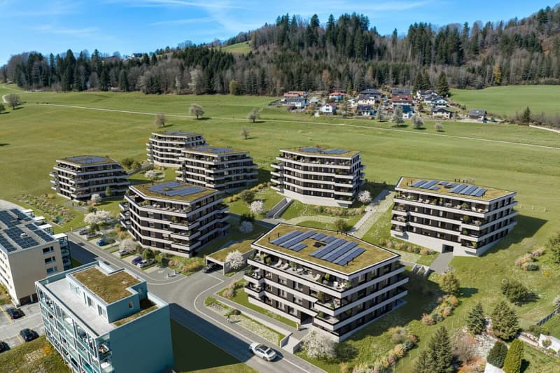 Neubau "Obstgarten" - 3.5-Zi. Wohnung mit freiem Blick in die Landwirtschaftszone (4)