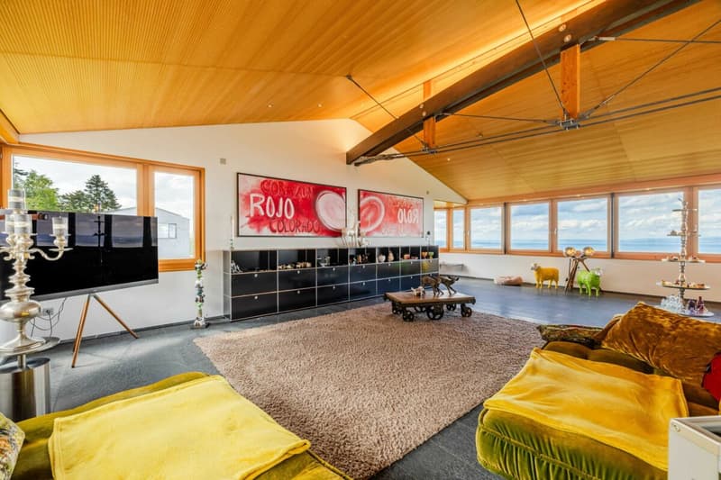 Exklusive Villa auf imposantem Grundstück - 20min von St.Gallen entfernt (9)