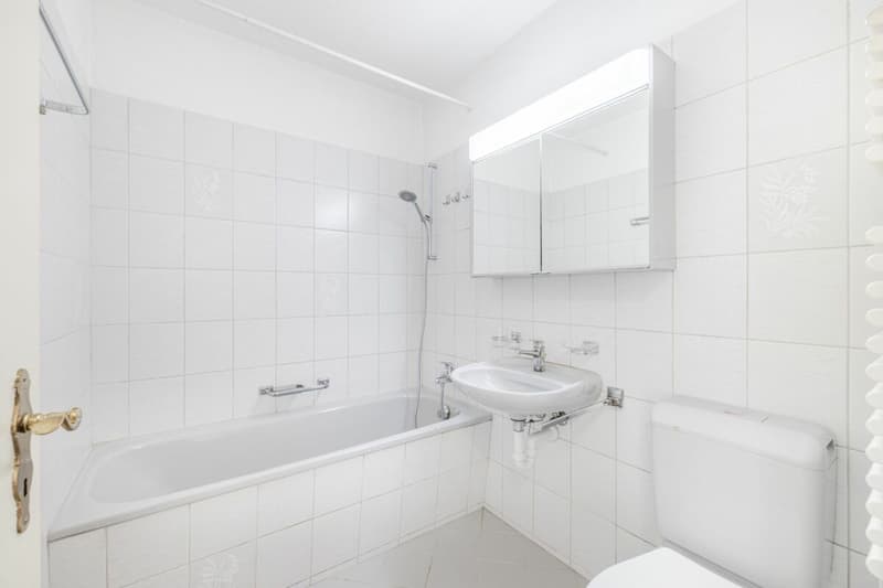 GROSSZÜGIGE 3.5-ZIMMER-WOHNUNG MIT SONNIGEM BALKON UND INDIVIDUELLEM AUSBAUPOTENZIAL (6)