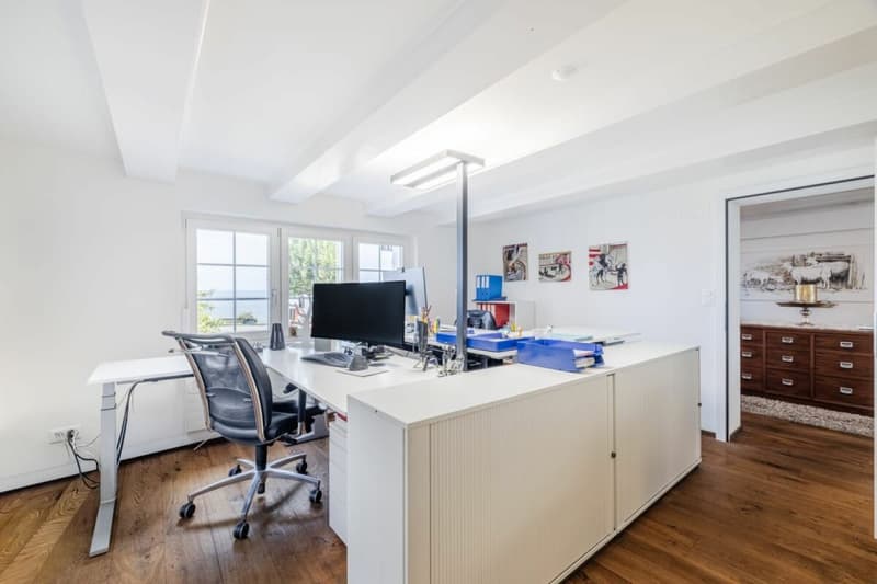 HISTORISCHER CHARME UND EXKLUSIVER WOHNKOMFORT MIT SEESICHT, EINLIEGERWOHNUNG UND BÜRO IN HORN (7)